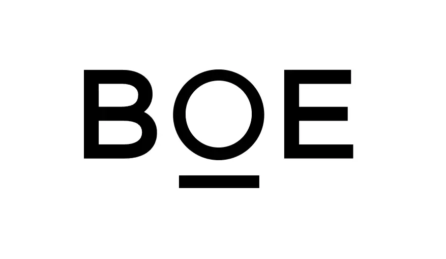 The Hefei Model Facilitates the Rapid Rise of BOE